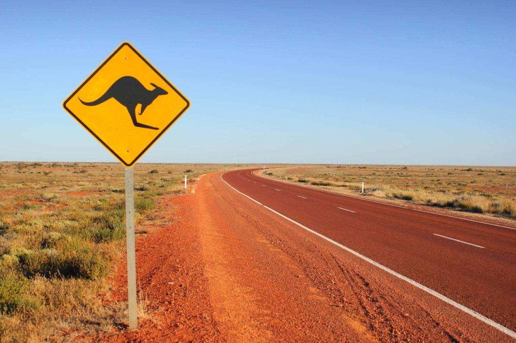 Kangaroo traffic sign